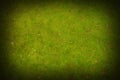 Green background Royalty Free Stock Photo