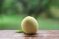 Fresh peaches on wooden table against green blurred background . green background on peach wooden table .