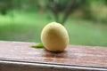 Fresh peaches on wooden table against green blurred background . green background on peach wooden table