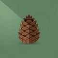 On a green background. The pine cone is stylized with geometric Royalty Free Stock Photo