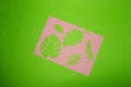 green background with pink paper on which are green paper leaf, creative art summer design, trendy colors Royalty Free Stock Photo