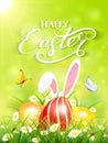 Green background with rabbit and three Easter eggs in grass Royalty Free Stock Photo