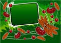 Green background with red ashberry and banner