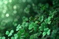 a green background with shamrock plants, shamrock clip art, and Royalty Free Stock Photo