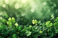 a green background with shamrock plants, shamrock clip art, and Royalty Free Stock Photo