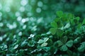 a green background with shamrock plants, shamrock clip art, and Royalty Free Stock Photo