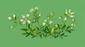 Green background with small white flower in center. There are also several other flowers, some of which have petals and