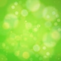 Green background soft bokeh