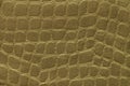 Green background from soft upholstery textile material, closeup. Fabric with pattern Royalty Free Stock Photo
