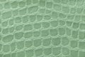 Green background from soft upholstery textile material, closeup. Fabric with pattern Royalty Free Stock Photo