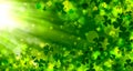 Green background for St. Patrick`s day, spring background, bright, bokeh, Shamrock, rays, light effect, beautiful, design, St.