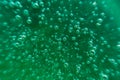 Green background, texture with bubbles in some liquid