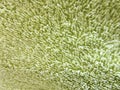 Green background texture fabric Terry towel textile industry macro photo Royalty Free Stock Photo