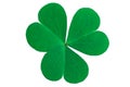 Green background with three-leaved shamrocks, Lucky Irish Four Leaf Clover in the Field for St. Patricks Day holiday symbol. with Royalty Free Stock Photo