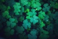 Shamrocks Royalty Free Stock Photo