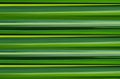 Green background yellow lines horizontal texture leaf pattern Royalty Free Stock Photo