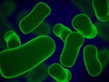 Green bacteria against a blue background Royalty Free Stock Photo