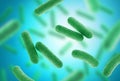 Green bacteria on blue background. Close up. Royalty Free Stock Photo