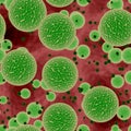 Green bacteria or virus spheres in blood, generated texture Royalty Free Stock Photo