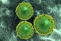 Green bacterial intruder cells causing sickness