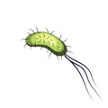 Green bacterium with antennae and tail on white