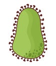 green bacterium illustration Royalty Free Stock Photo