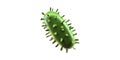 Green Bacterium Illustration. Microbiology And Pathogen Study Concept Isolated On Transparent Background Royalty Free Stock Photo