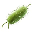 Green Bacterium Illustration. Microbiology And Pathogen Study Isolated On Transparent Background Royalty Free Stock Photo
