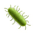 Green Bacterium Illustration. Microbiology And Pathogen Study Isolated On Transparent Background Royalty Free Stock Photo