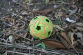 Green ball with red and yellow ribbons on the ground in the garden Royalty Free Stock Photo