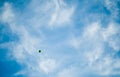 Green balloon floating away