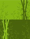 Green bamboo background