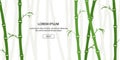 Green bamboo background. Asian forest set. China culture. Traditional plant. Beautiful template for header, banner, card or Royalty Free Stock Photo