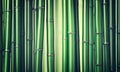 Green bamboo background