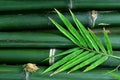 Green bamboo background with leaf Royalty Free Stock Photo