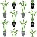 Green bamboo branch with leaves in black and gray pots boho style on a white background seamless pattern home plant asia tropical Royalty Free Stock Photo