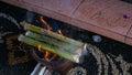 Green bamboo that is burned during a traditional Balinese wedding ceremony Royalty Free Stock Photo