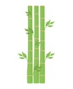 green bamboo design