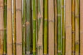 green bamboo fence background texture pattern Royalty Free Stock Photo