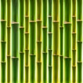 Green bamboo fence background Royalty Free Stock Photo