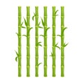Green bamboo fence with leaves, wall in cartoon style isolated on white background. Natural barrier from sticks, planks Royalty Free Stock Photo