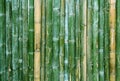 Green bamboo fence texture background. Royalty Free Stock Photo