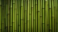 Green bamboo fence texture, bamboo background Royalty Free Stock Photo