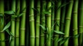 Green bamboo fence texture, bamboo background Royalty Free Stock Photo