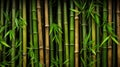 Green bamboo fence texture, bamboo background Royalty Free Stock Photo