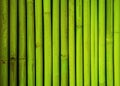 Green bamboo fence texture, bamboo background, texture background, bamboo texture Royalty Free Stock Photo