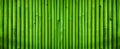 Green bamboo fence texture, bamboo texture background Royalty Free Stock Photo