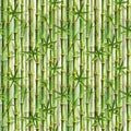 Green bamboo forest seamless pattern Royalty Free Stock Photo