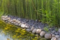 The green bamboo grows by the lake. Stone coastline. Royalty Free Stock Photo