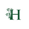 Green Bamboo H Letter Logo